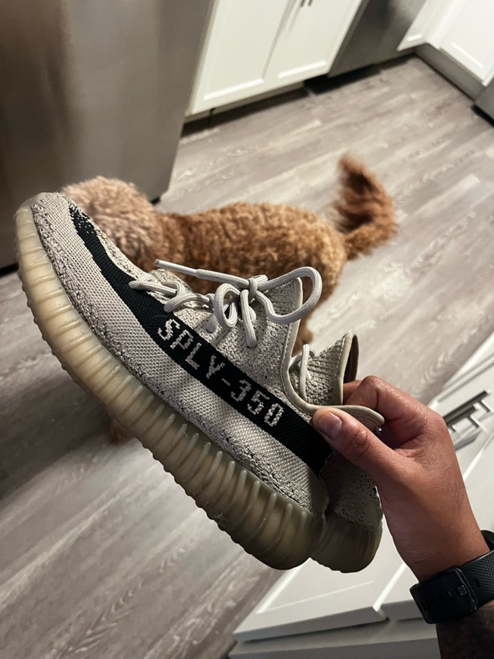 Yeezy Boost 350 V2 Beige Black - Picture 2 of 6
